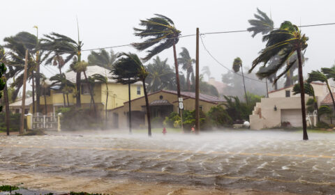 Hurrican Winds Adobe Stock 171085827